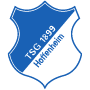 TSG 1899 Hoffenheim Ladies crest